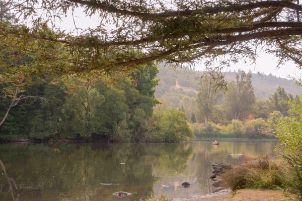 /Images/uploads/Sonoma County Regional Parks Foundation/springlake50/entries/28967thumb.jpg